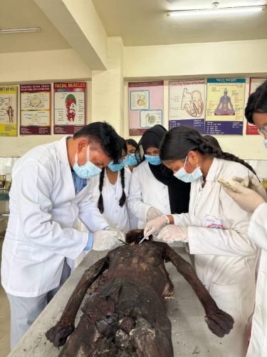 WhatsApp Image 2026-01-07 at 12.48.58 PM (1) - Copy